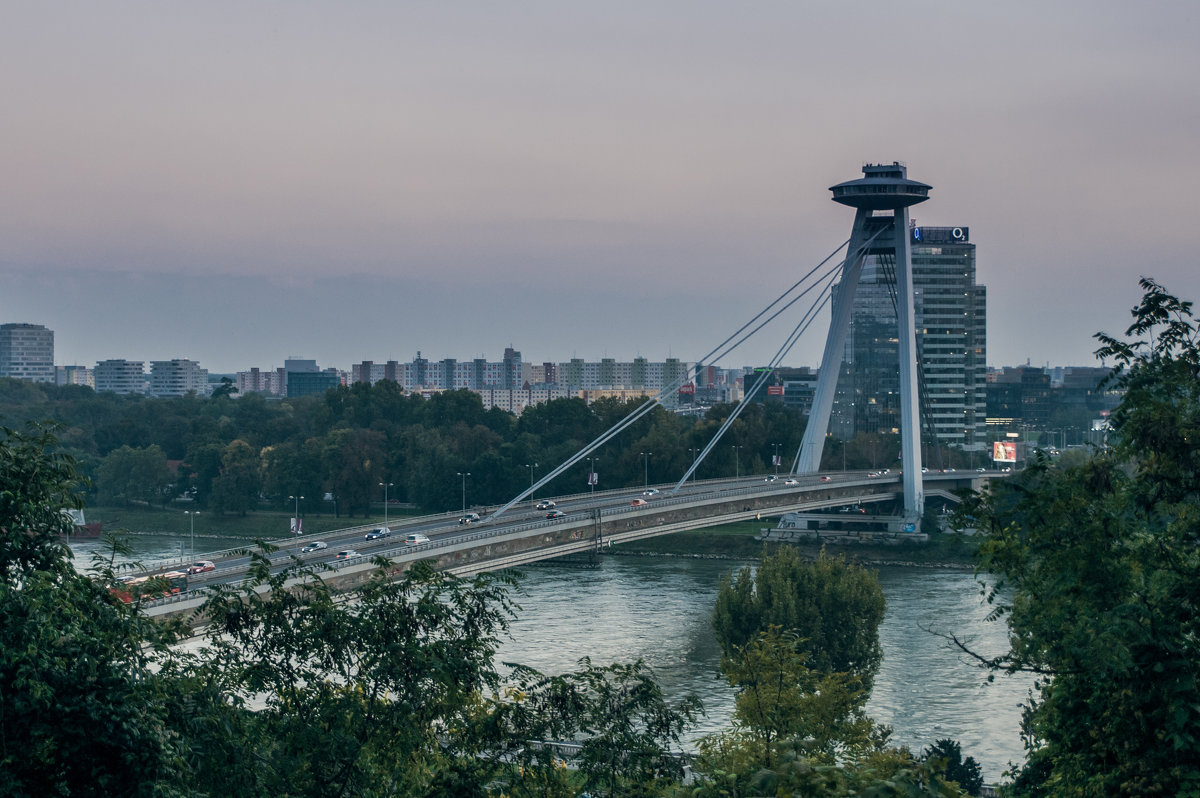 Мост СНП, Братислава - Андрей Роговой