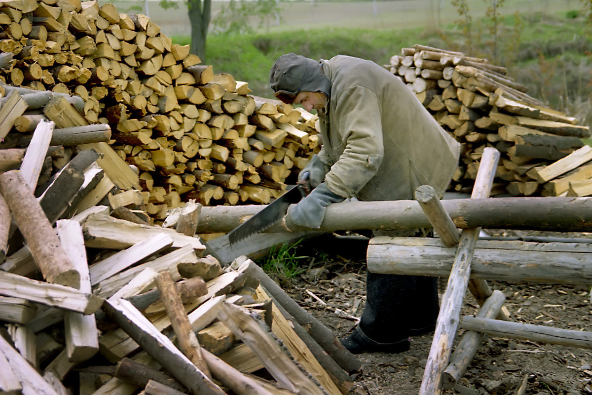 Заготовка дров - Валерий Талашов