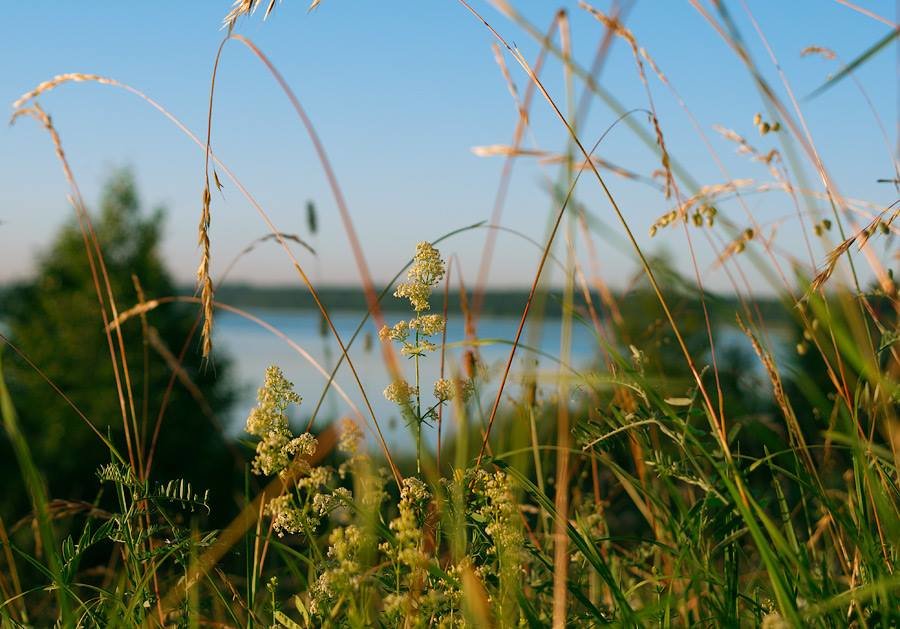 Утро самого длинного дня в году - Денис Кузнецов