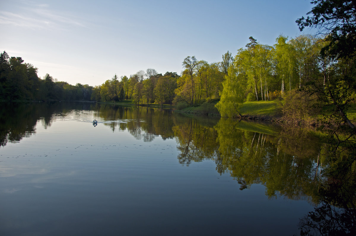 Evening Lake - Roman Ilnytskyi