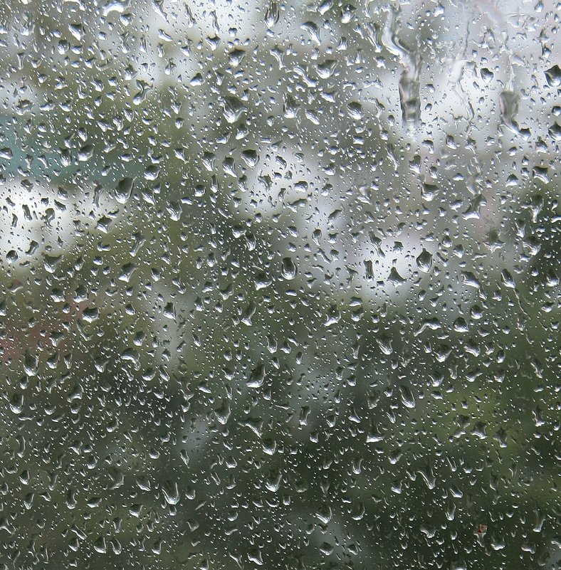 Дождливое  окно - Валерия  Полещикова 