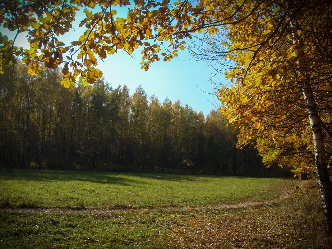 Осень - Ирина A