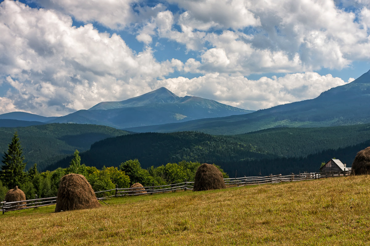 ... - Алекс 