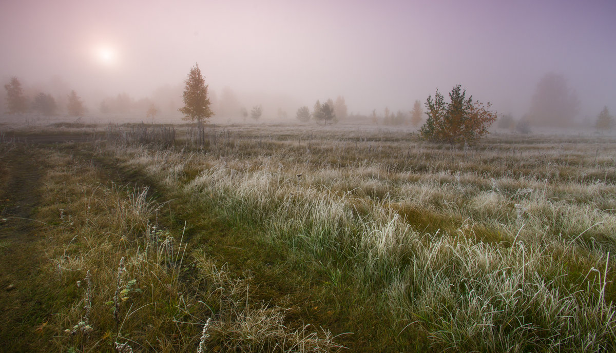 Осенний туман - Denis Zakalyapin