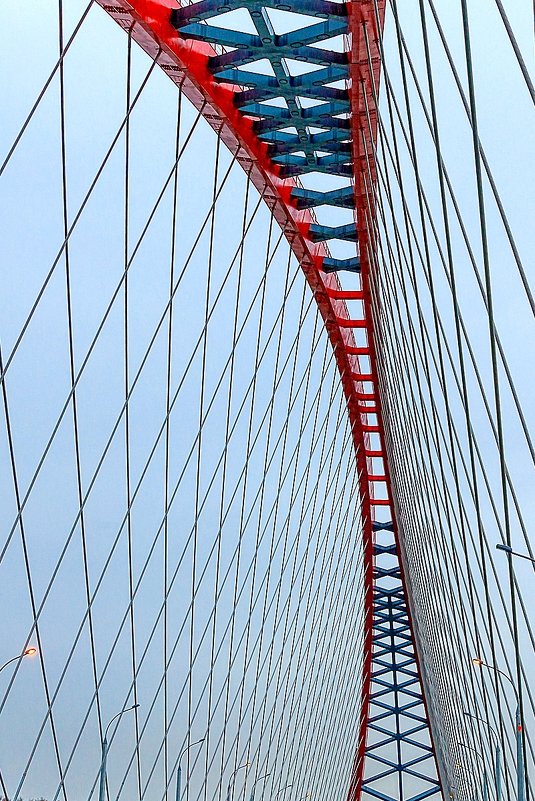 a new bridge across the Ob - Дмитрий Карышев