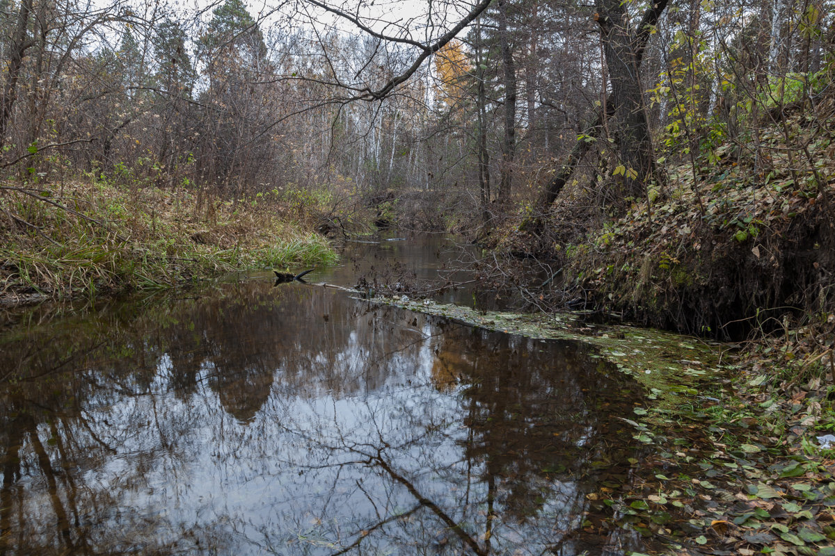 Осень в лесу - Евгений Мельников