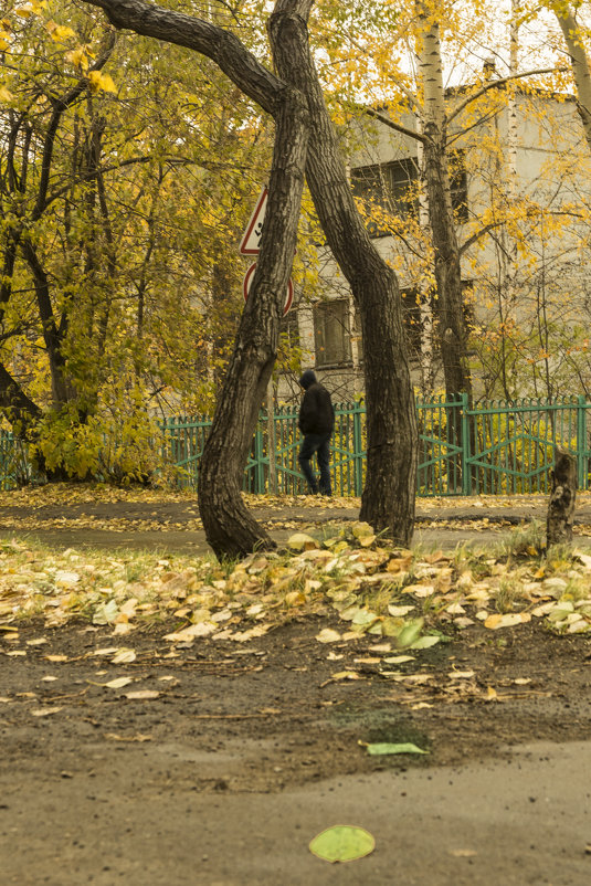 Осенний марафон - Аркадий Пазовский
