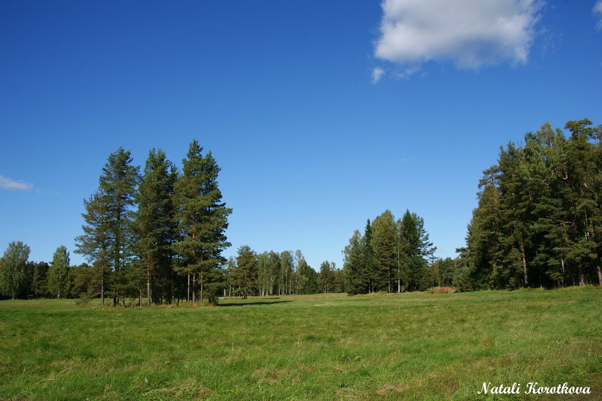 *** - Наталия Короткова