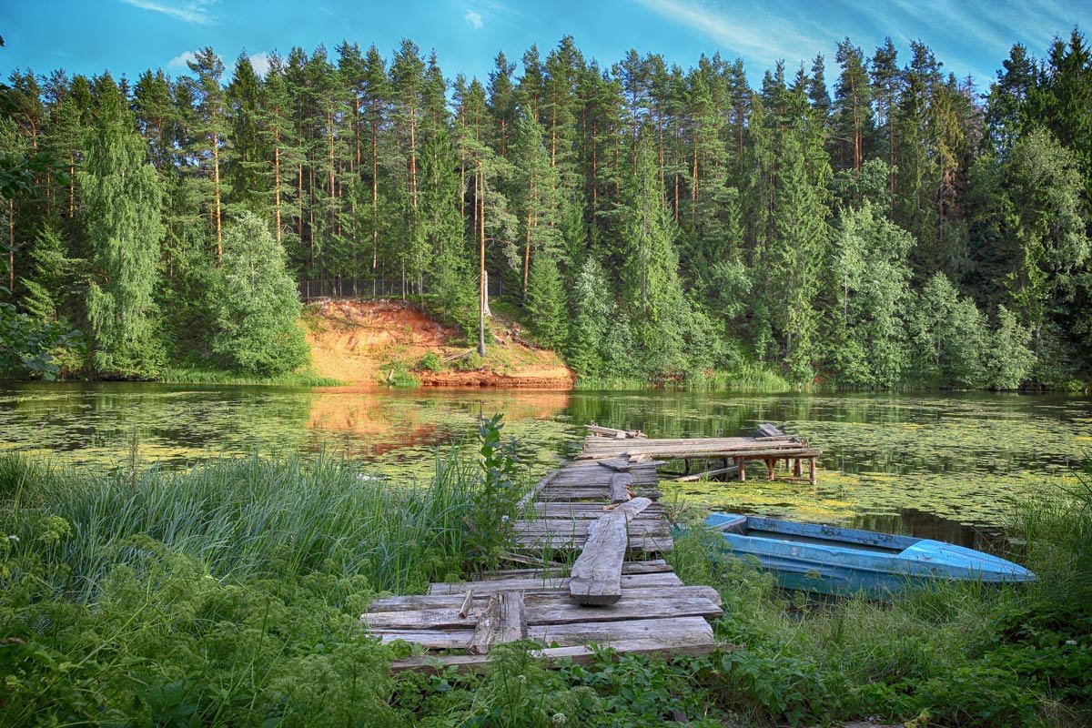 Оредеж, пос. Рождествено - Дмитрий Захаров