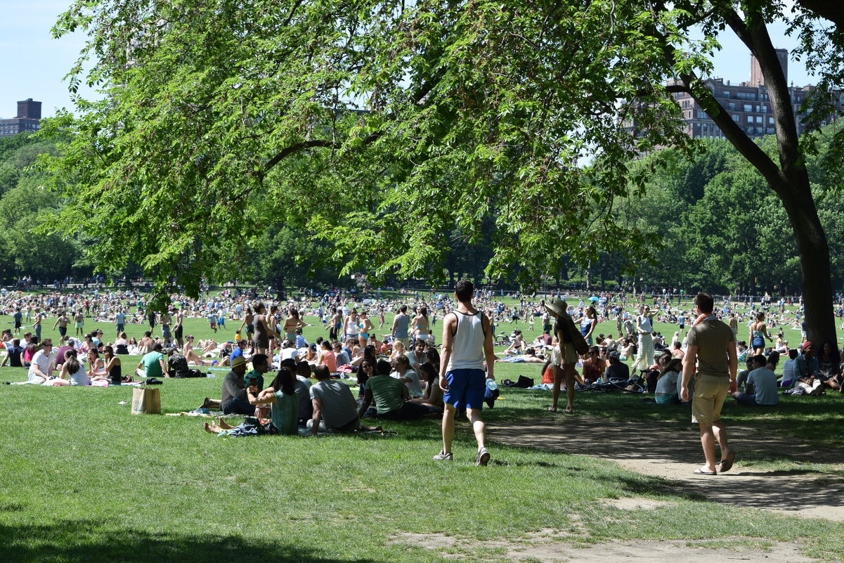 Central Park. Manhattan. Sunday. - Yevgeniya Lucky