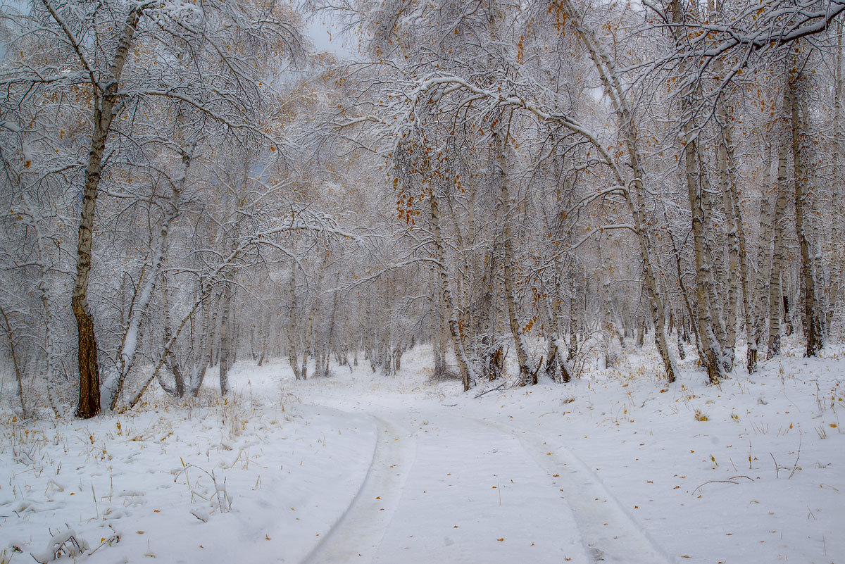 Снежный октябрь - Сергей Брагин
