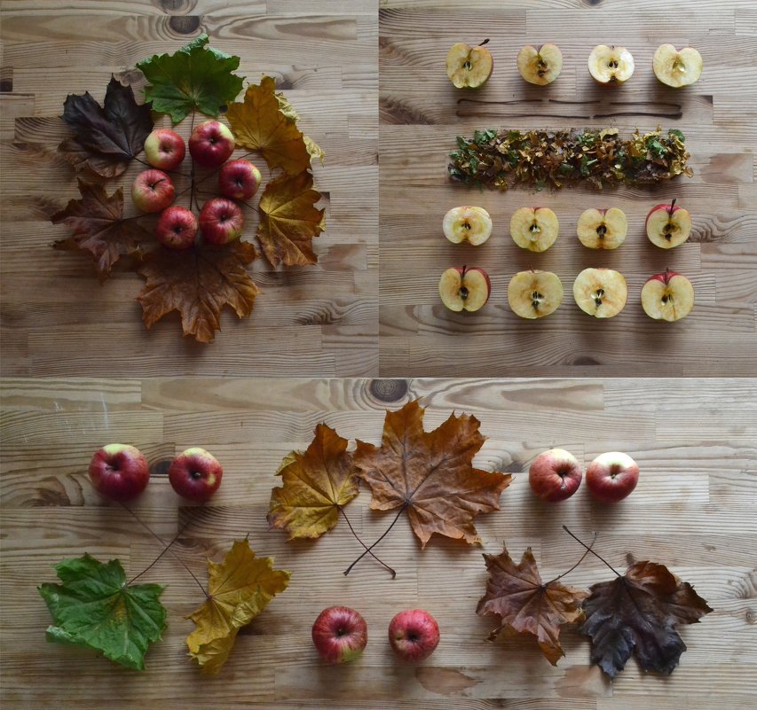 Knolling - Yuliana Maslenka