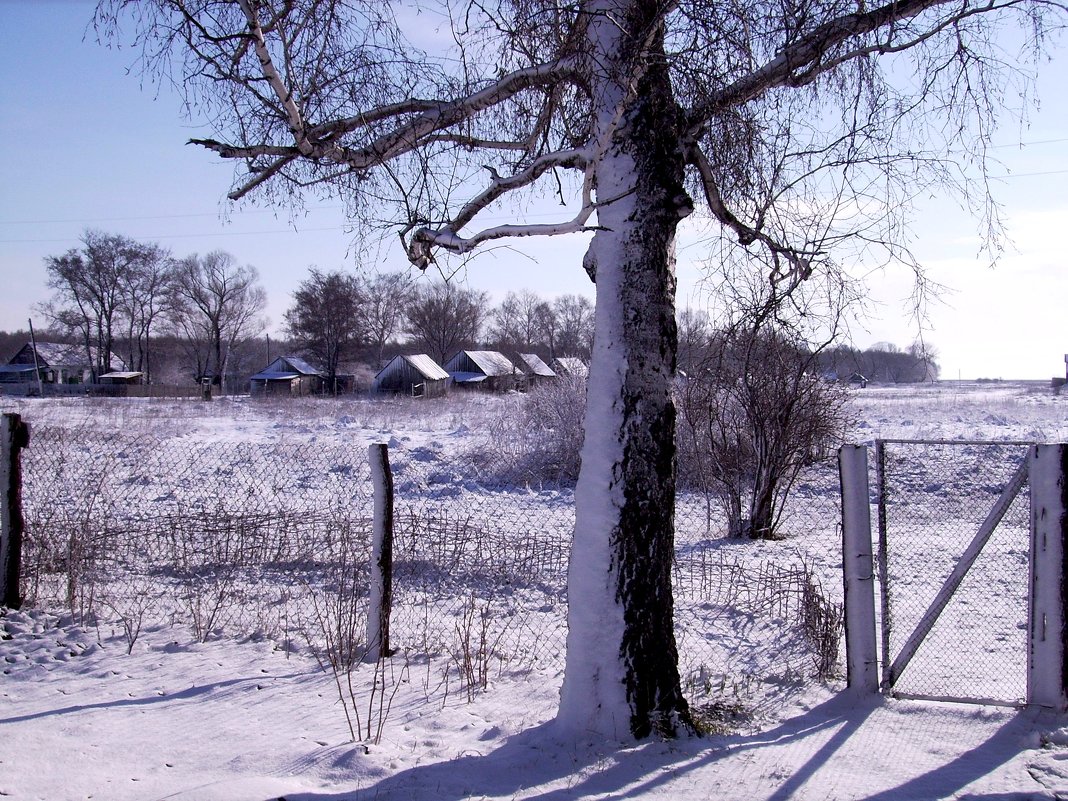 Зима пришла в мою деревеньку - Валентина Пирогова