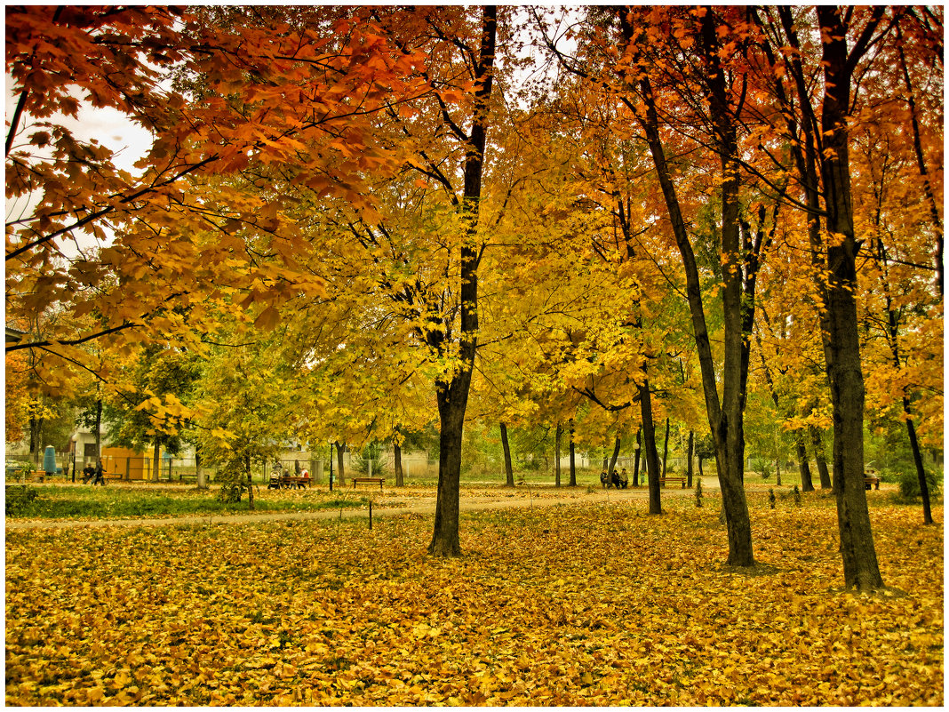 Осень в парке - Анатолий Михайлович