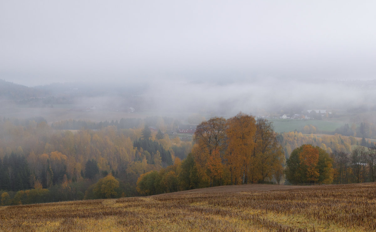 Осень уходящая в туман... - Aleksandrs Rosnis
