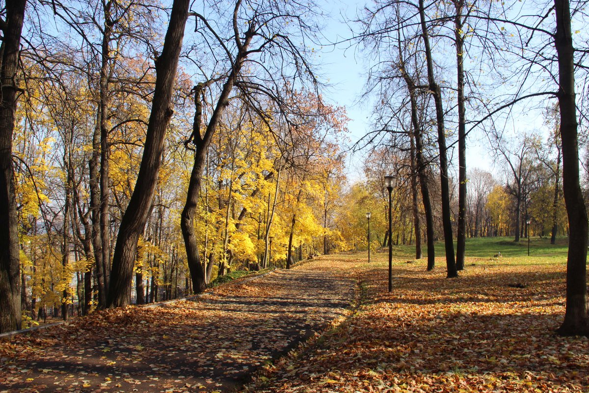 Александровский сад 1 - Анна -