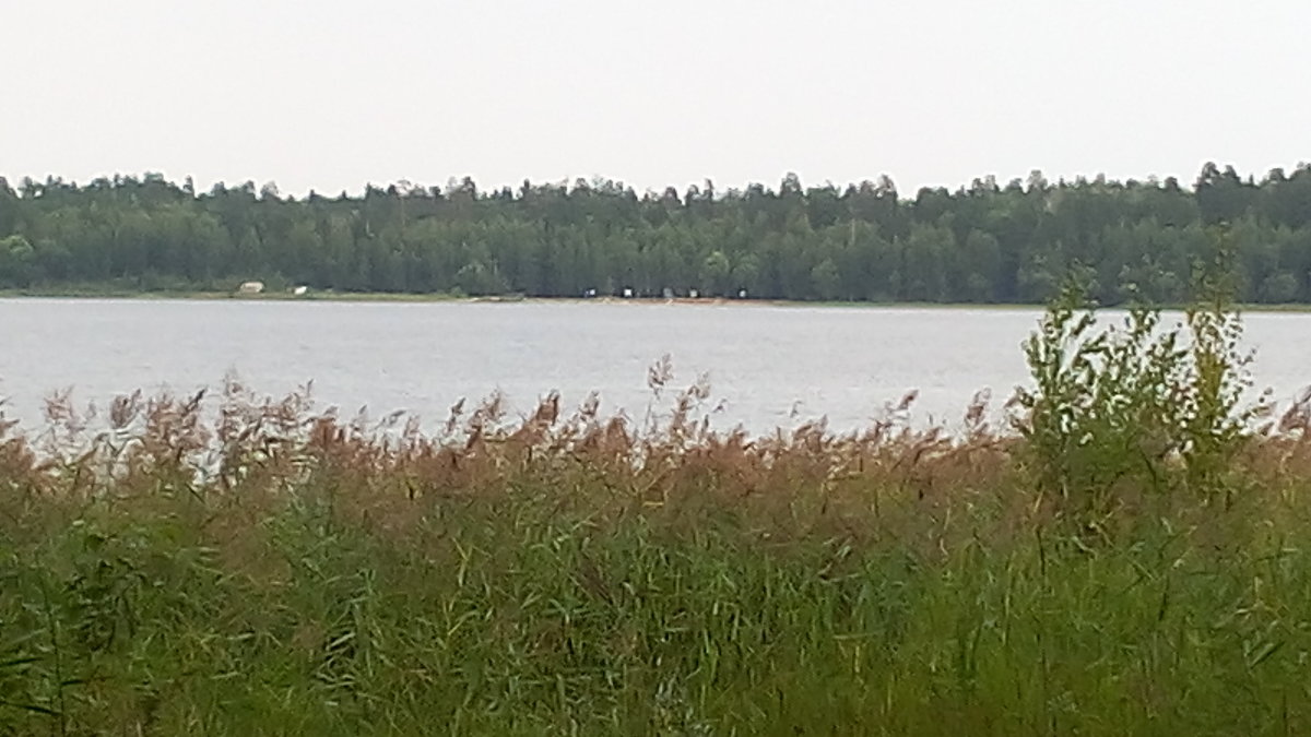 Белое озеро - Наталья Давыдова