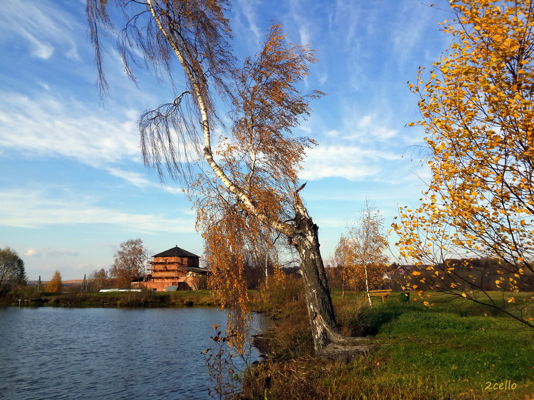 Золотая осень в Тараканово - 2сello Olga
