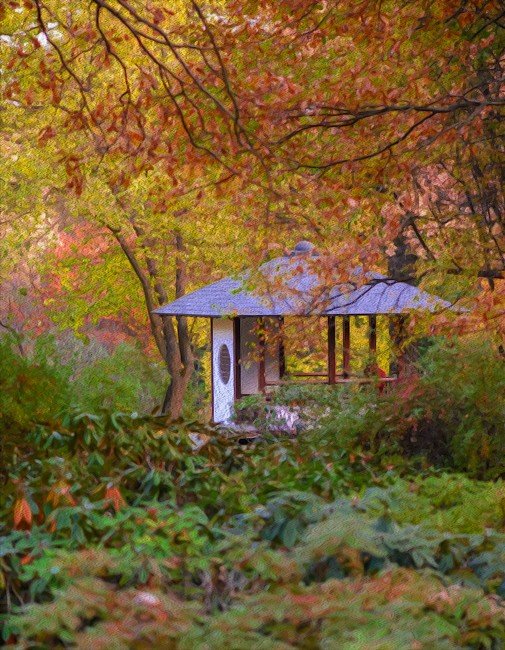 Осень в японском саду - Dack9 -