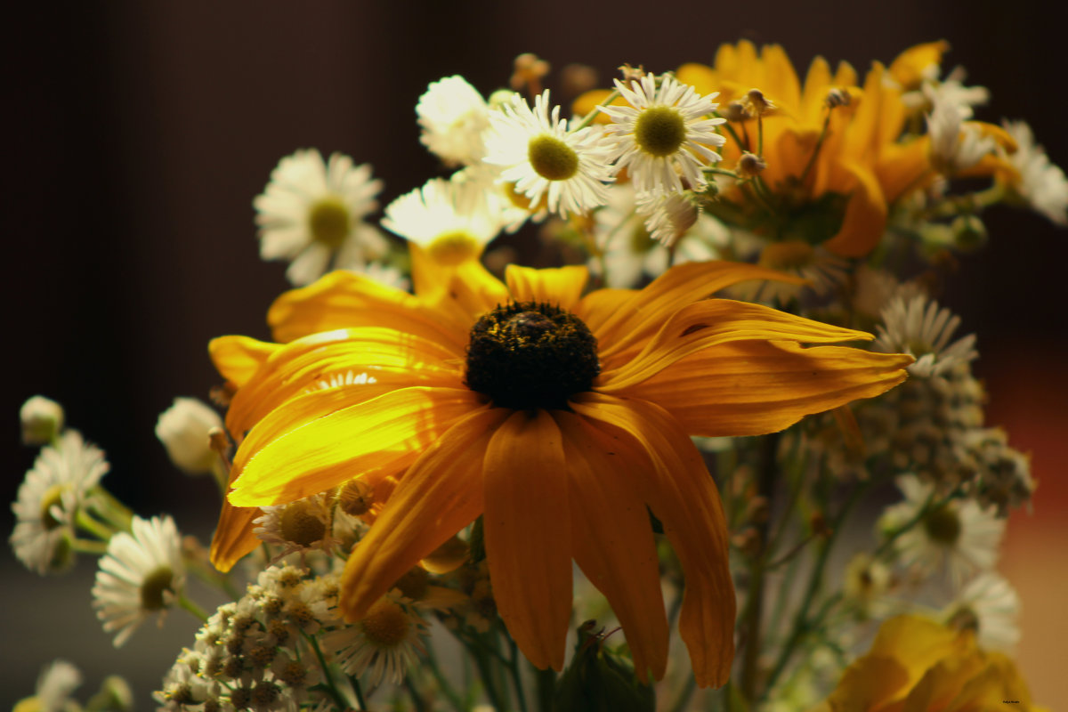 bouquet of autumn flowers - Halyna Hnativ