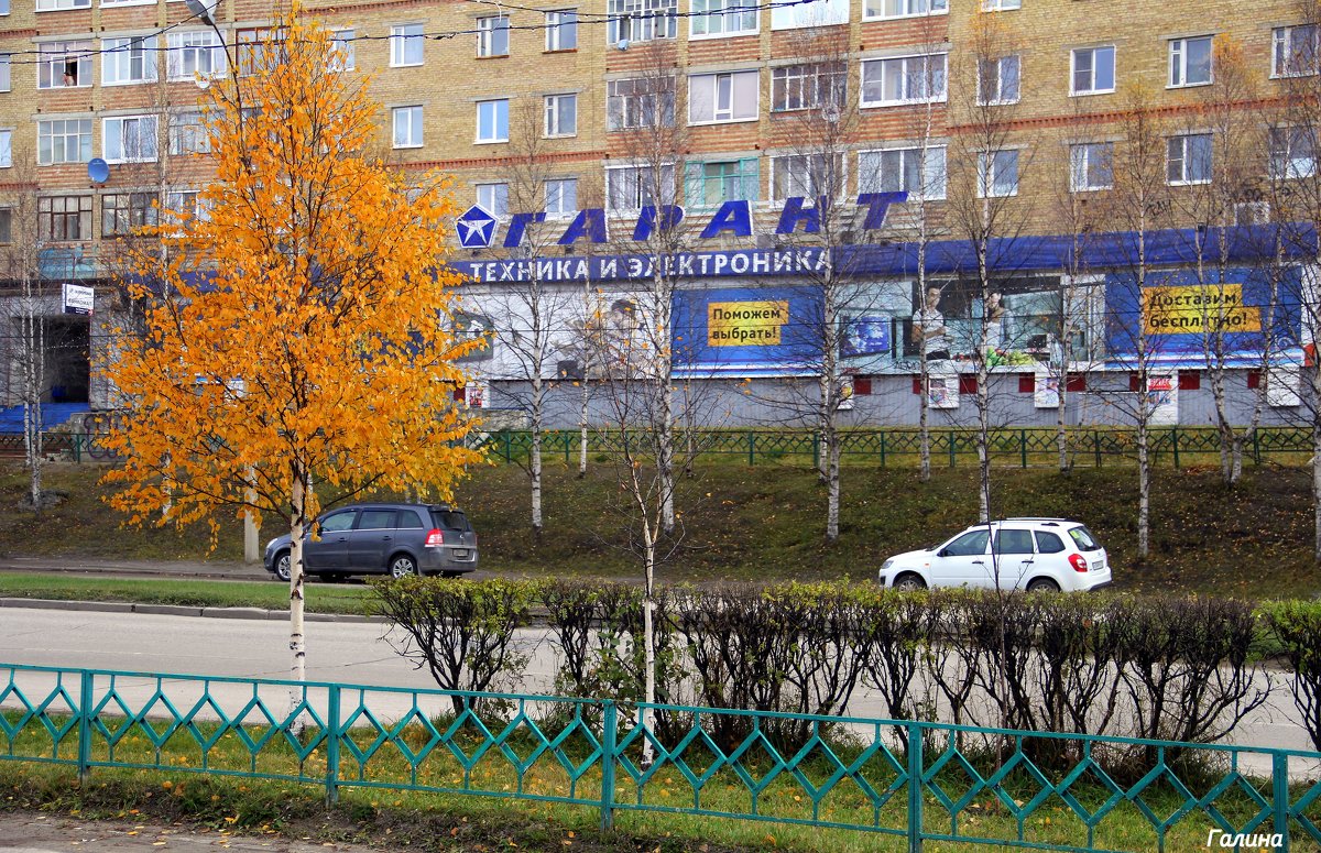 Осень в городе - Галина Новинская