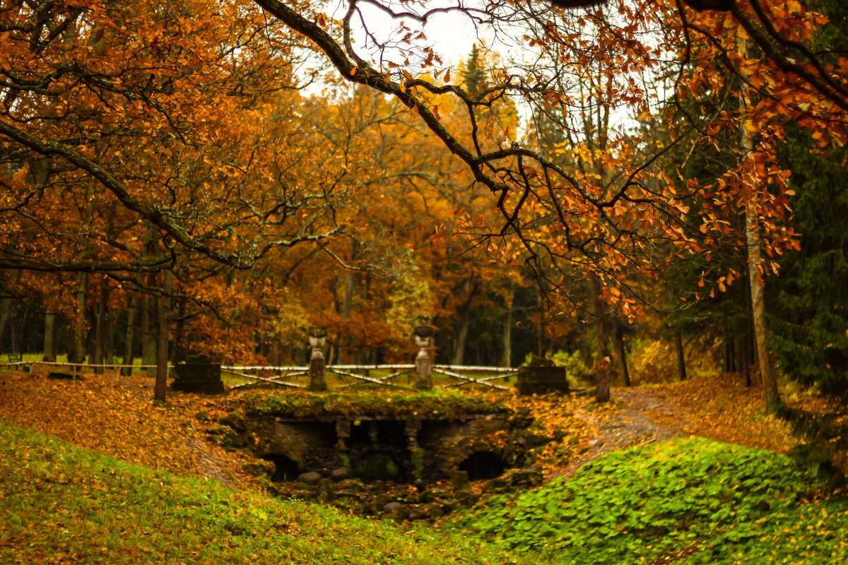 Осень В Павловском парке - Денис Матвеев
