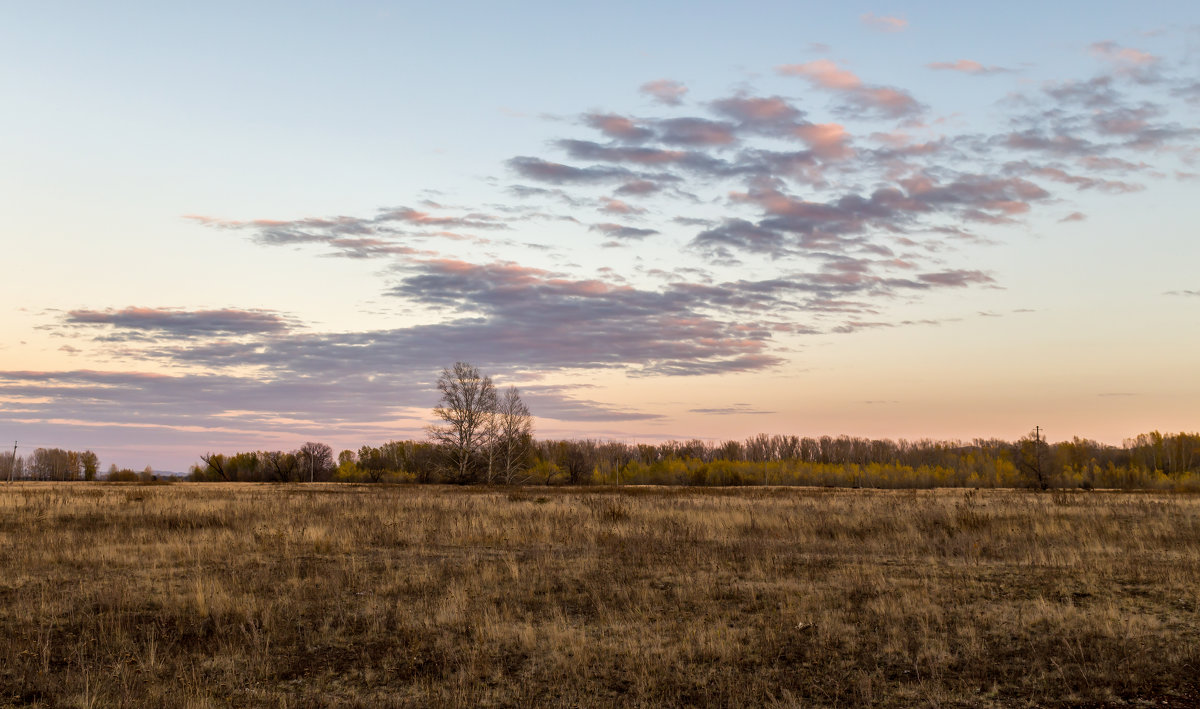 *** - Александр Кислицын