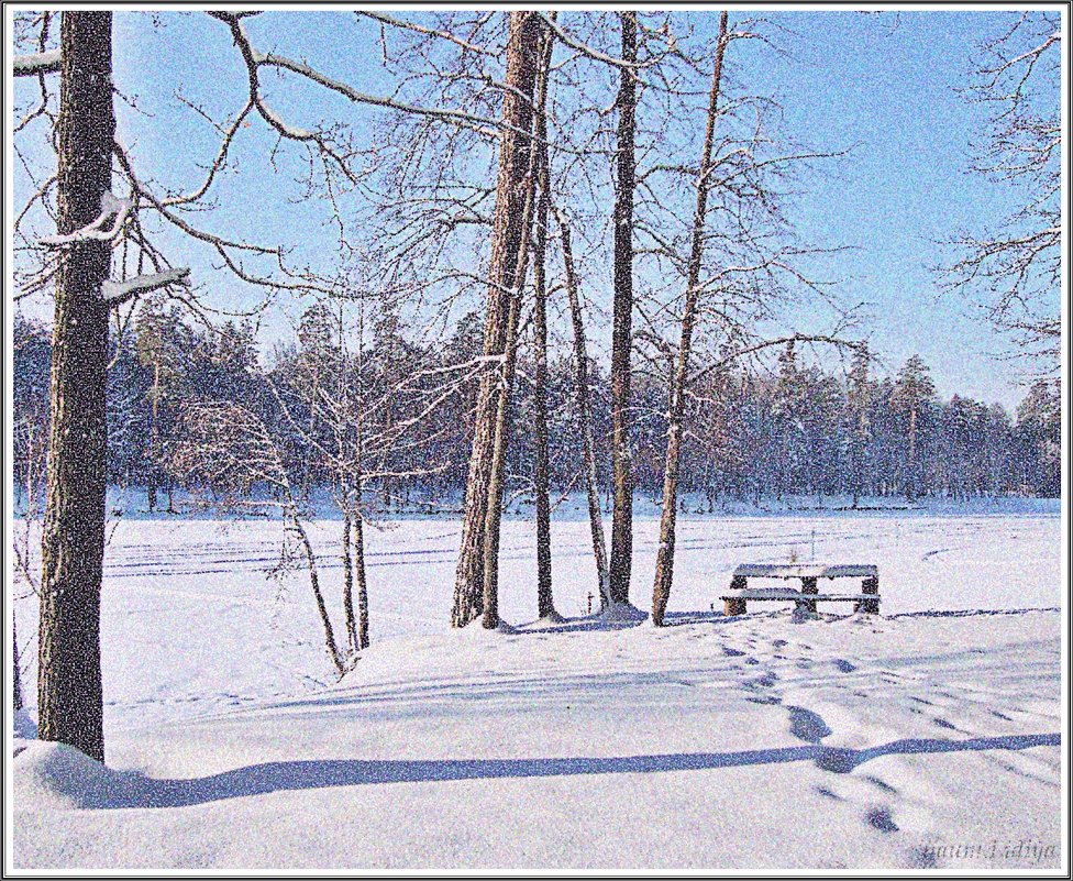 Нежность зимнего снега - Лидия (naum.lidiya)