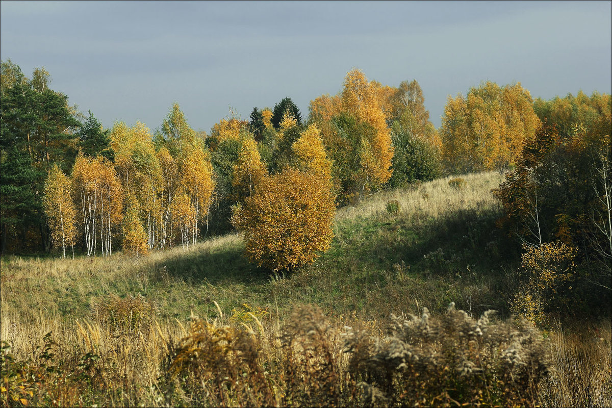 Осенний гобелен - Виктор (victor-afinsky)