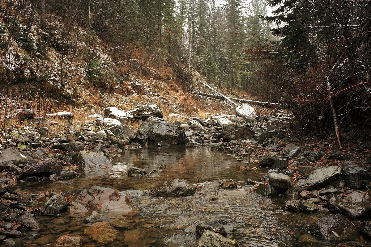 ** - Николай Елисеев