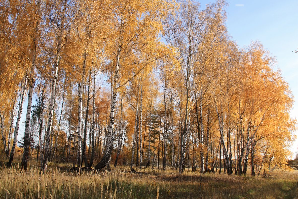 Осень, Воткино - Владимир Холодницкий