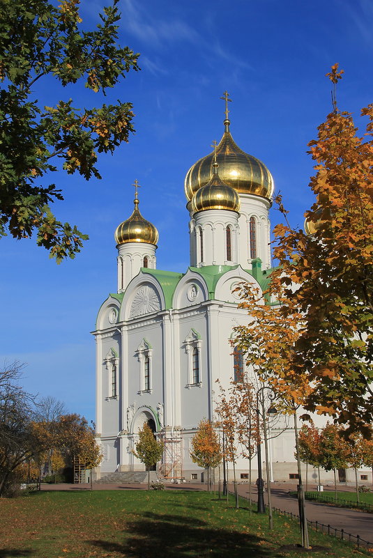 Вид на Екатерининский собор осенью... - Tatiana Markova