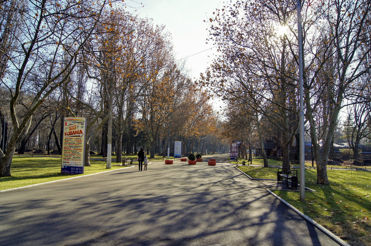 в парке - gribushko грибушко Николай