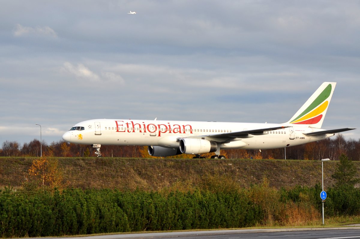 Ethiopian - vg154 