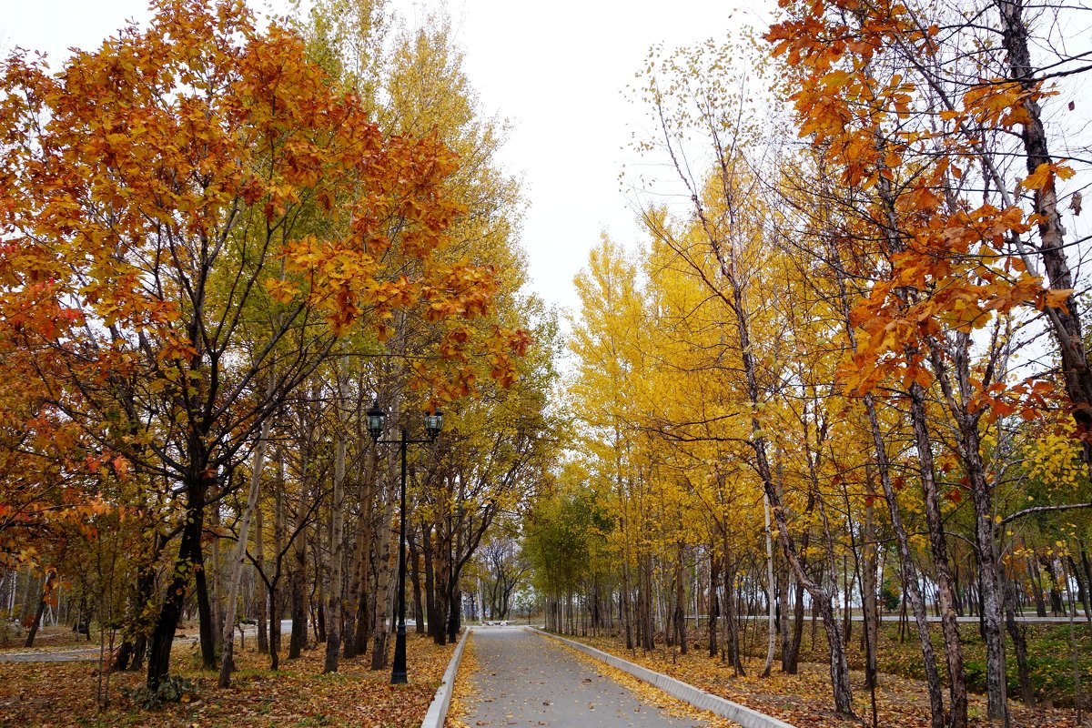 Парк "Северный". Хабаровск - Виктория Коплык