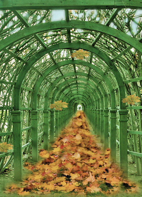 Тоннель осенью - Nikolay Monahov
