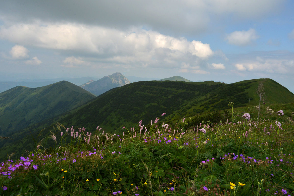 Tatry - Nina sofronova