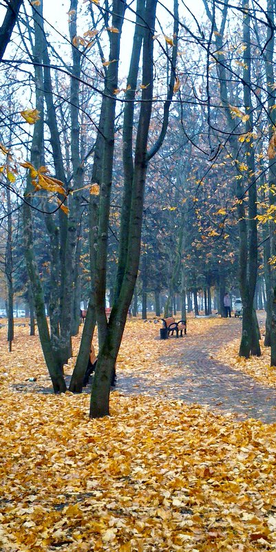 Дождь в парке... - Юлия Копыткина