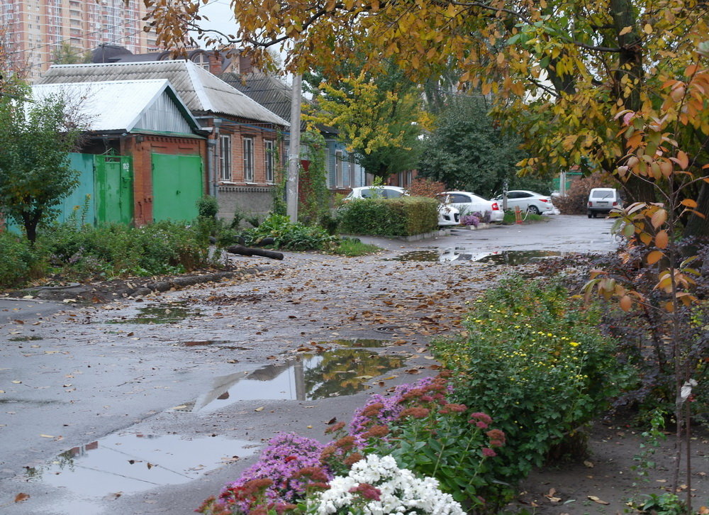 Деревня в городе - Дмитрий 