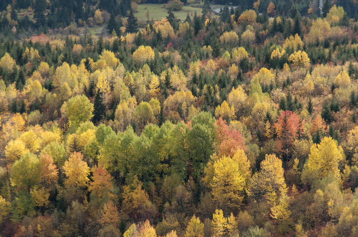 colors - Ilze Strēle