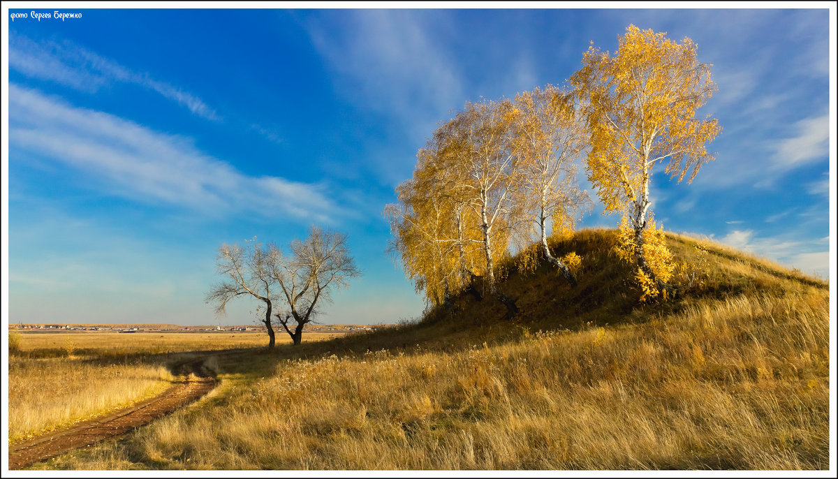 Родина - Сергей Бережко