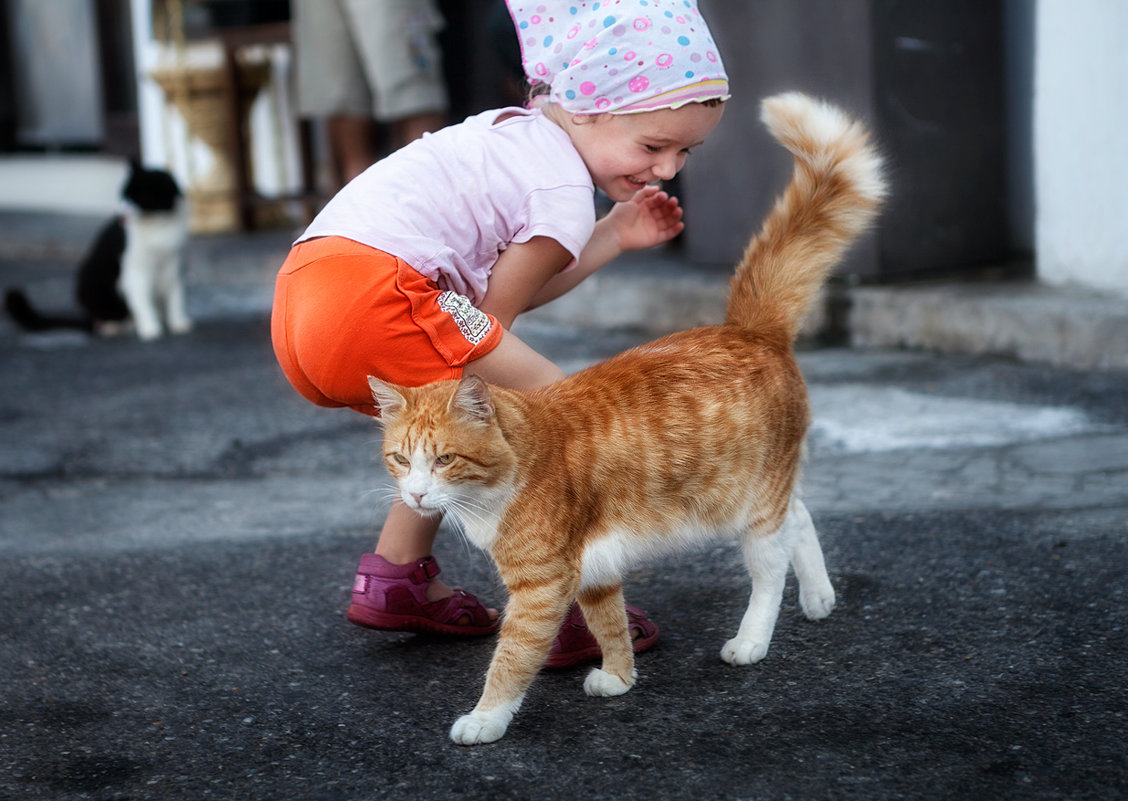 Малыш и кот - Anna Lipatova