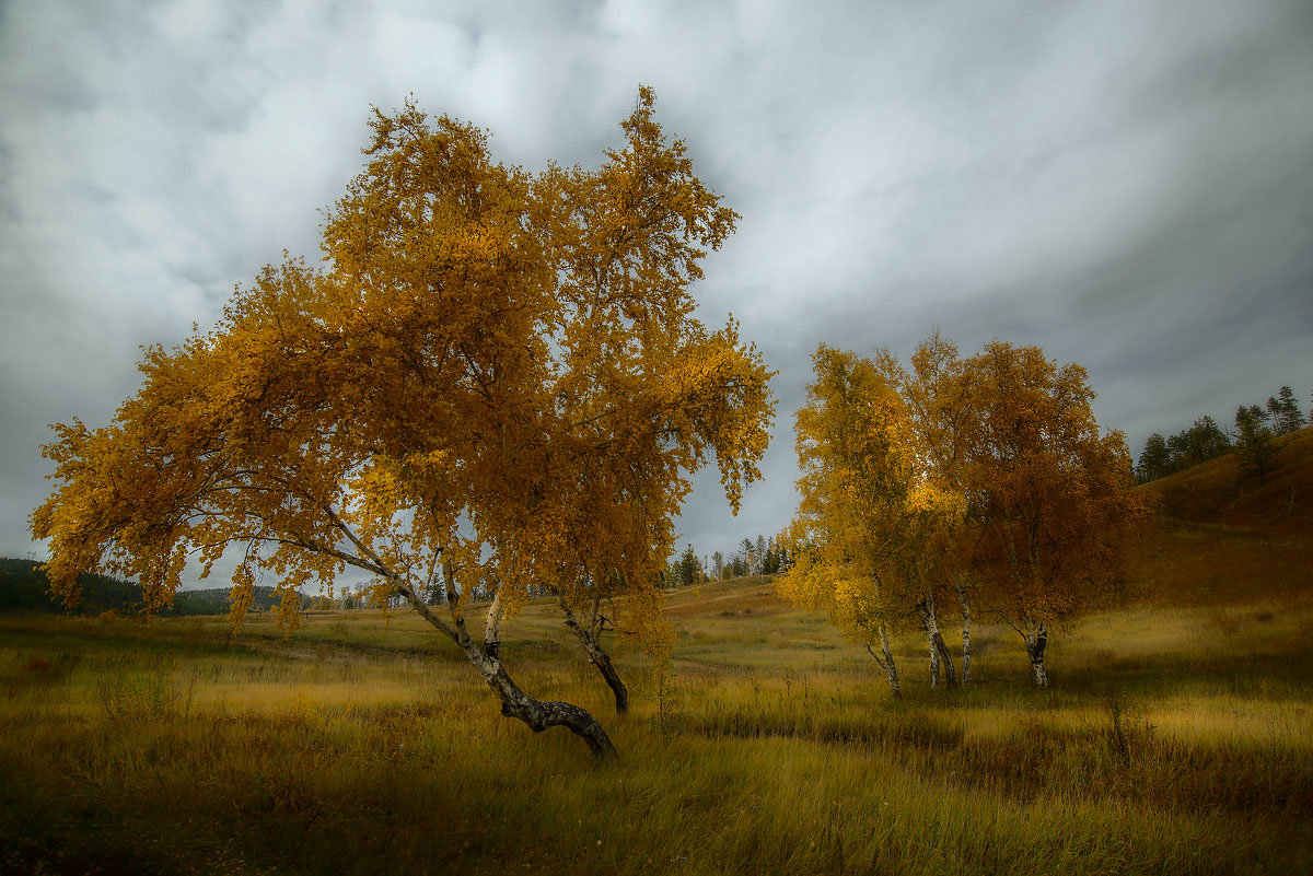 Осенний пейзаж - Сергей Брагин
