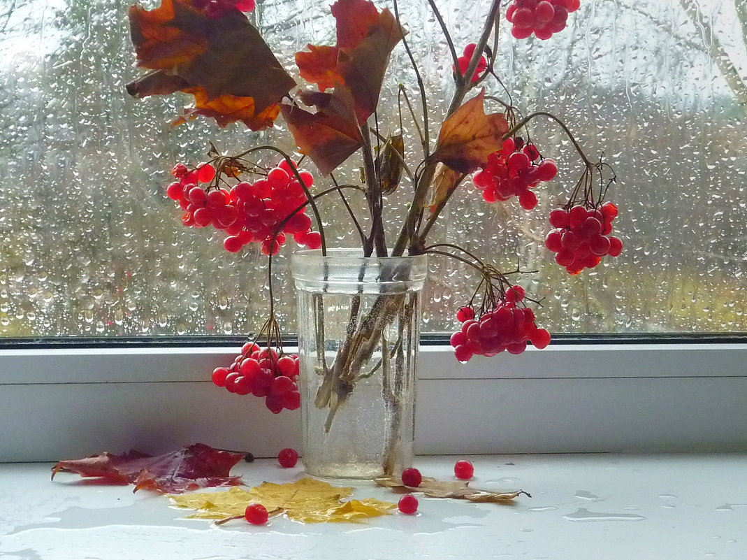 Осенний букет на окне с дождем