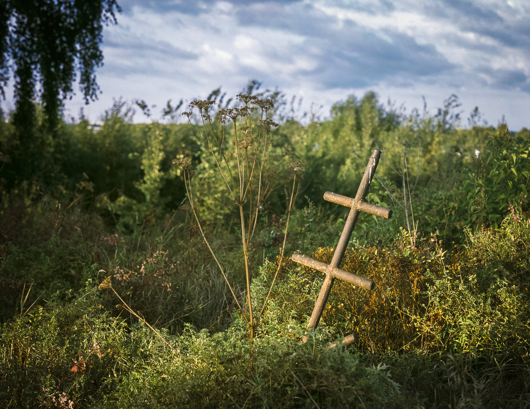 Старая могила. Из серии Там, где кончается Электричество. Погост Иванова Пустынь. - Андрей Мердишев