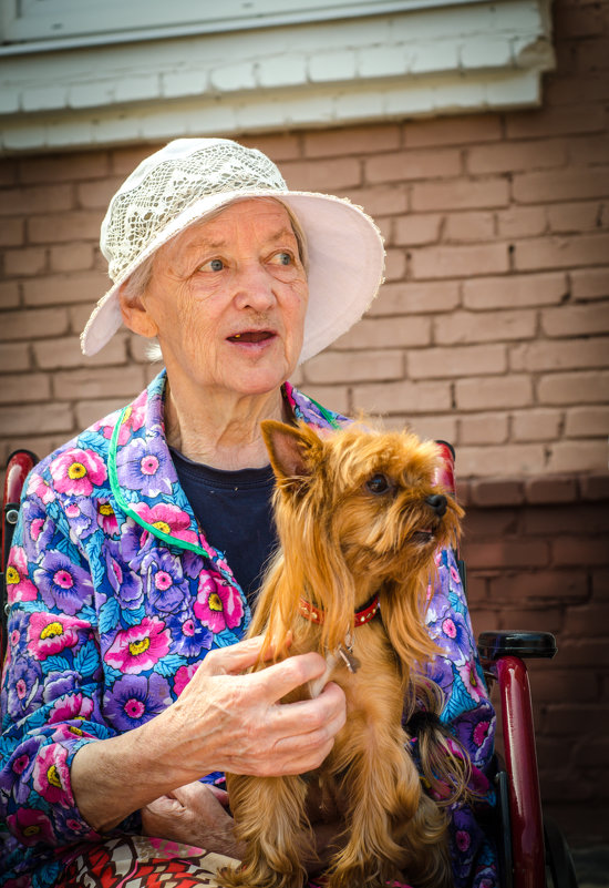 пансионат для пожилых людей, работа команды "Собаки для жизни" - Елена Козлова