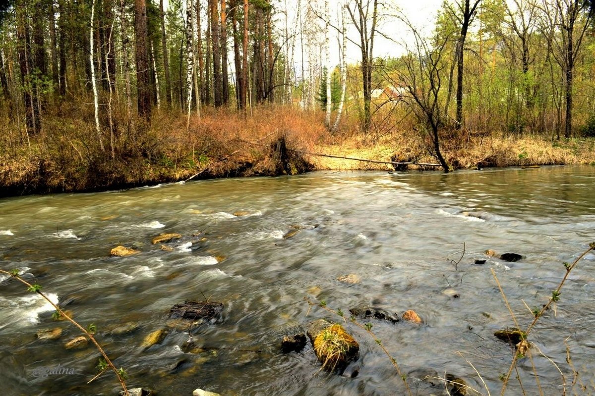 Весенние воды горной речки - galina tihonova