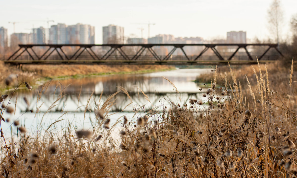 Мост - Анастасия Ланцова 