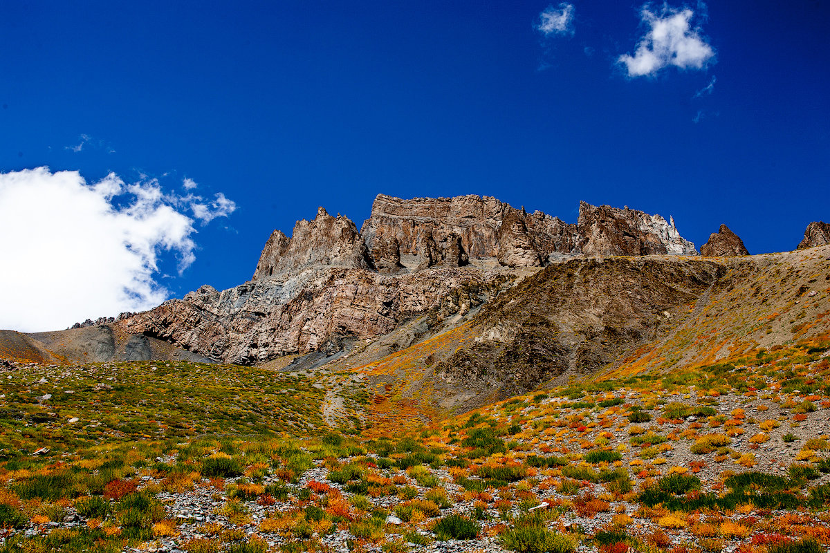 В горах Малого Тибета, где есть растительность, заметно приближение осени. - Victor Belimenko