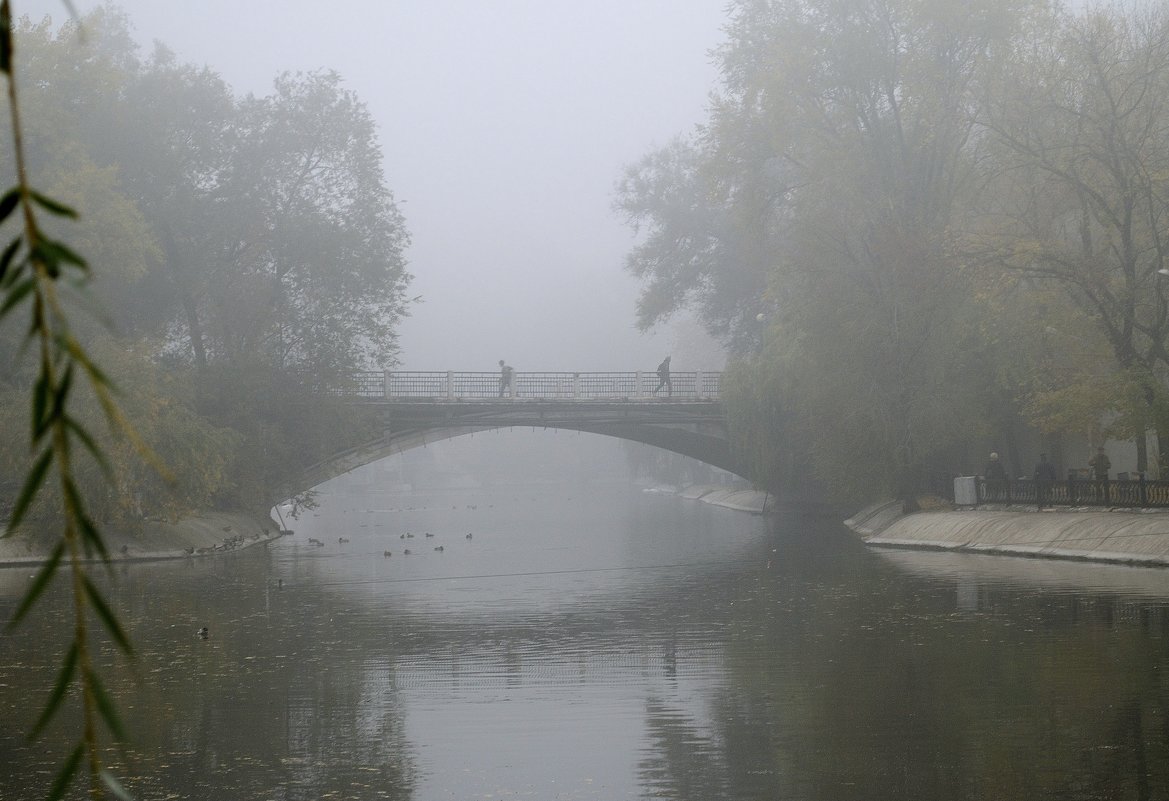 туман в парке - Владимир 